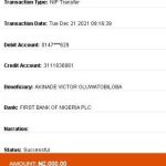 New Fraud alert beware of Akinade Victor Oluwatobiloba of videomine.org they are scammers